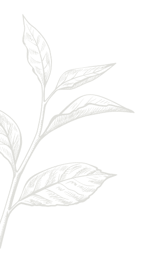 Icon Pflanze