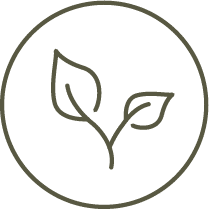 https://alpbacherhof.devsolution.at/wp-content/uploads/2024/09/Natur.png