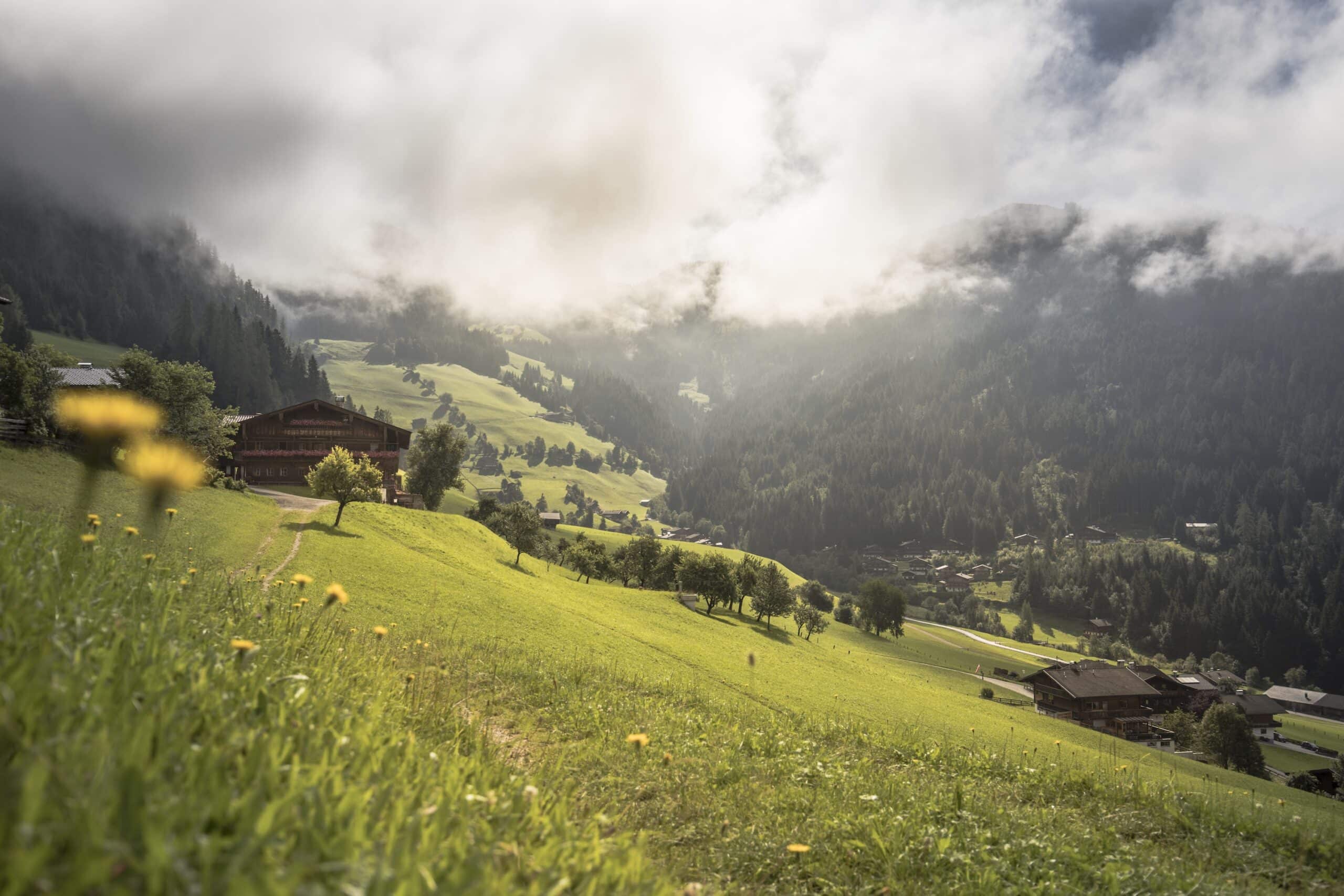 Blick auf ein idyllisches Tal mit grünen Wiesen und einem Holzhaus, umgeben von nebelverhangenen Bergen.