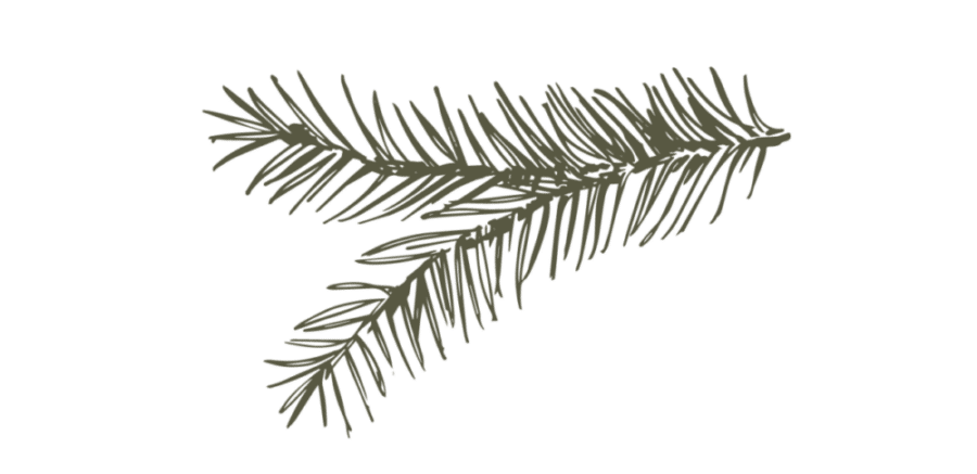 Stilisierte, dunkelgrüne Illustration eines Farnblattes auf schwarzem Hintergrund.