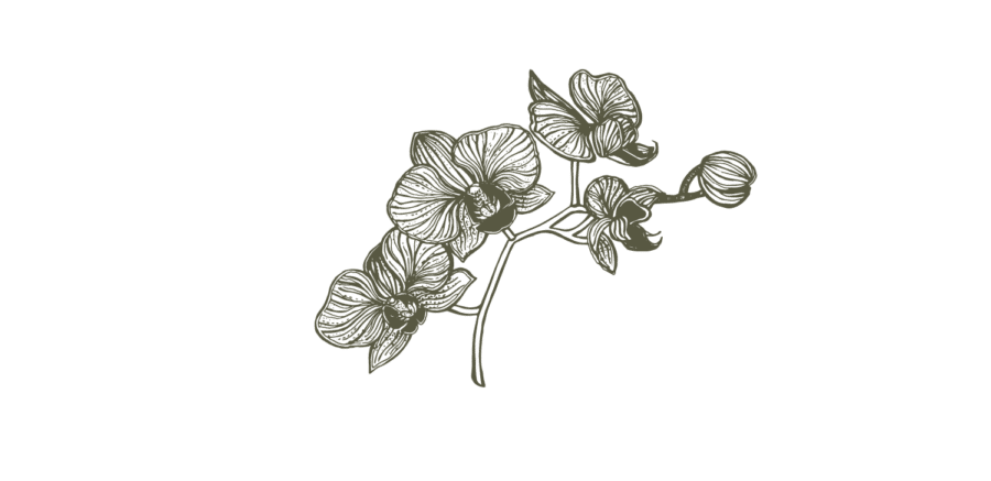 Silhouette einer Blumenranke mit Blättern und Knospen in beige auf schwarzem Hintergrund.