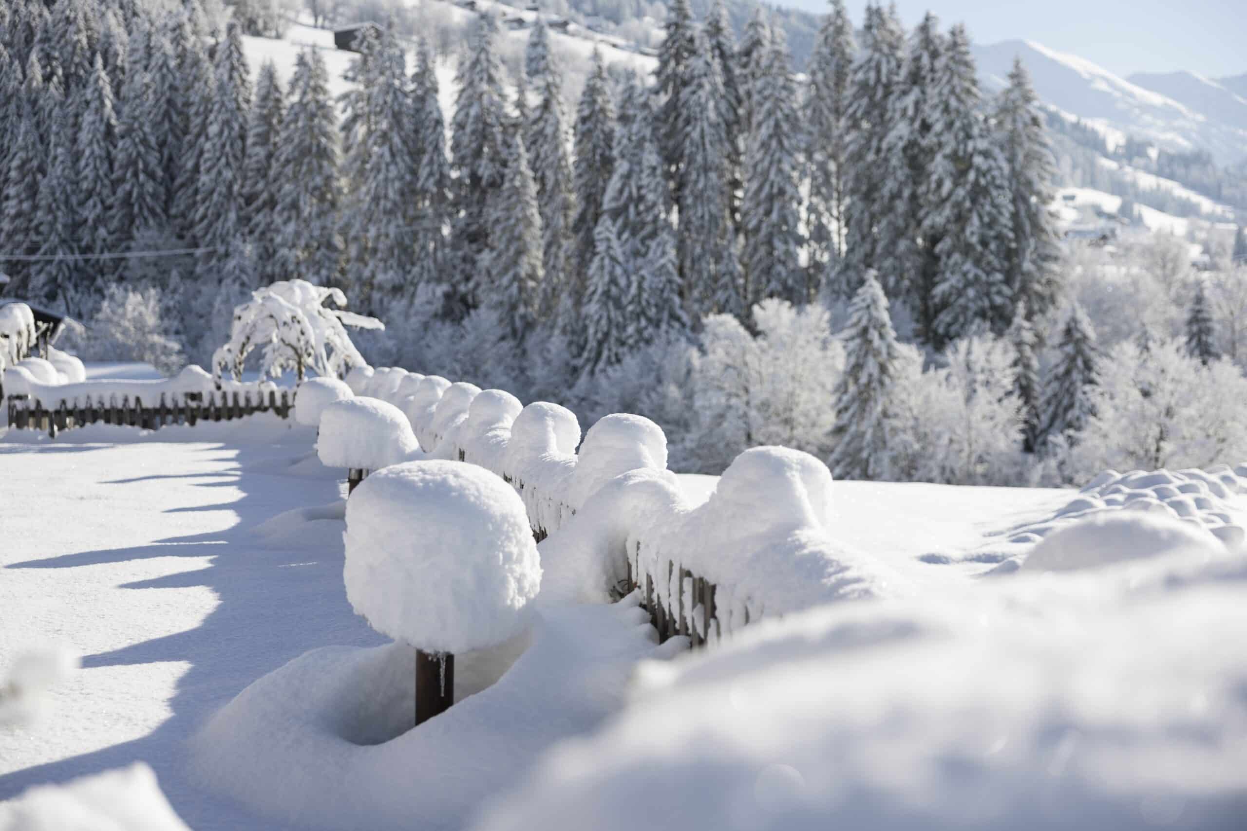 Schneebedeckte Landschaft mit tief verschneiten Zäunen und Bäumen unter einem klaren blauen Himmel.