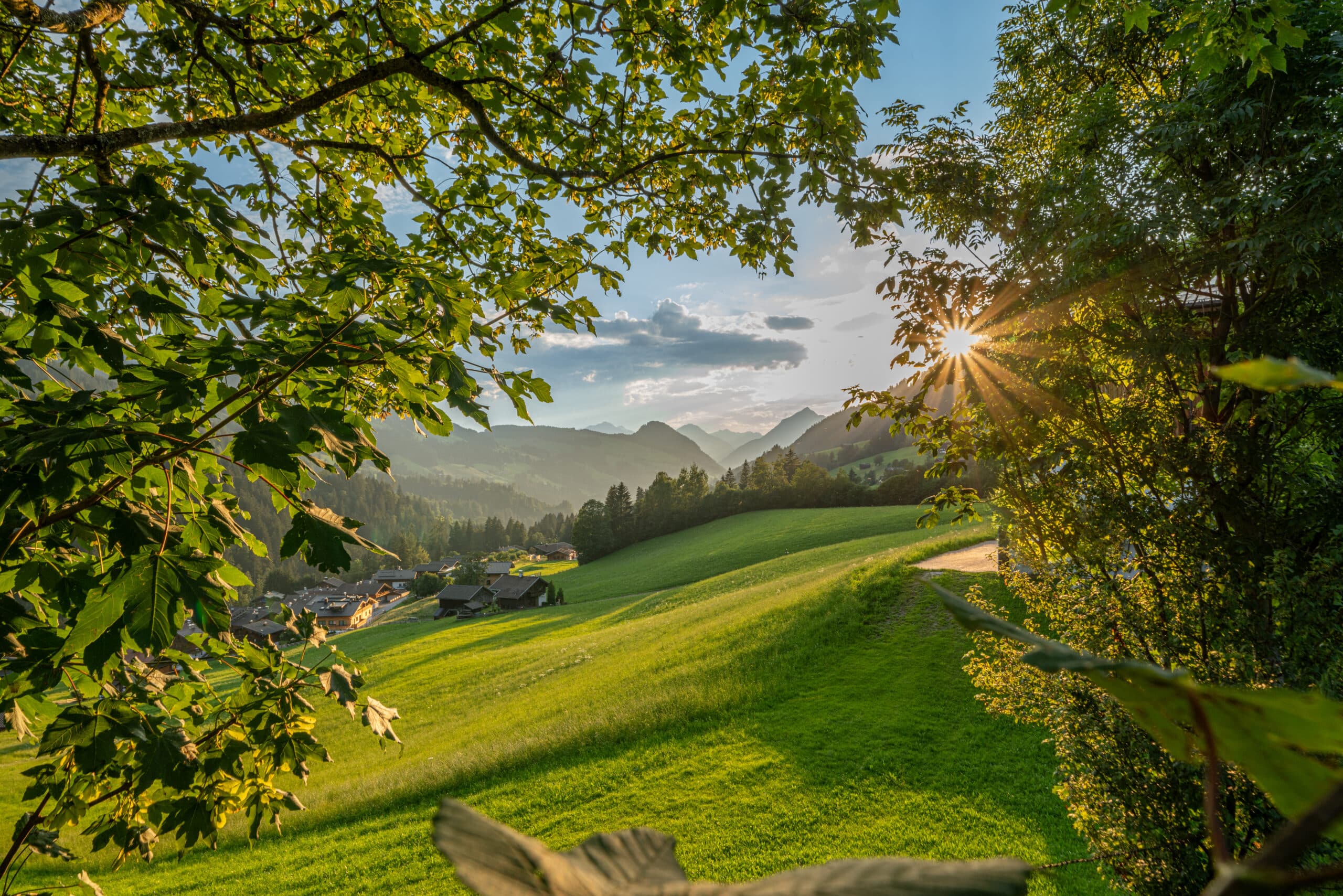 Idyllische Landschaft mit grünen Wiesen, einem kleinen Dorf und bewaldeten Bergen im Hintergrund, fotografiert durch das Geäst eines Baumes bei Sonnenuntergang.