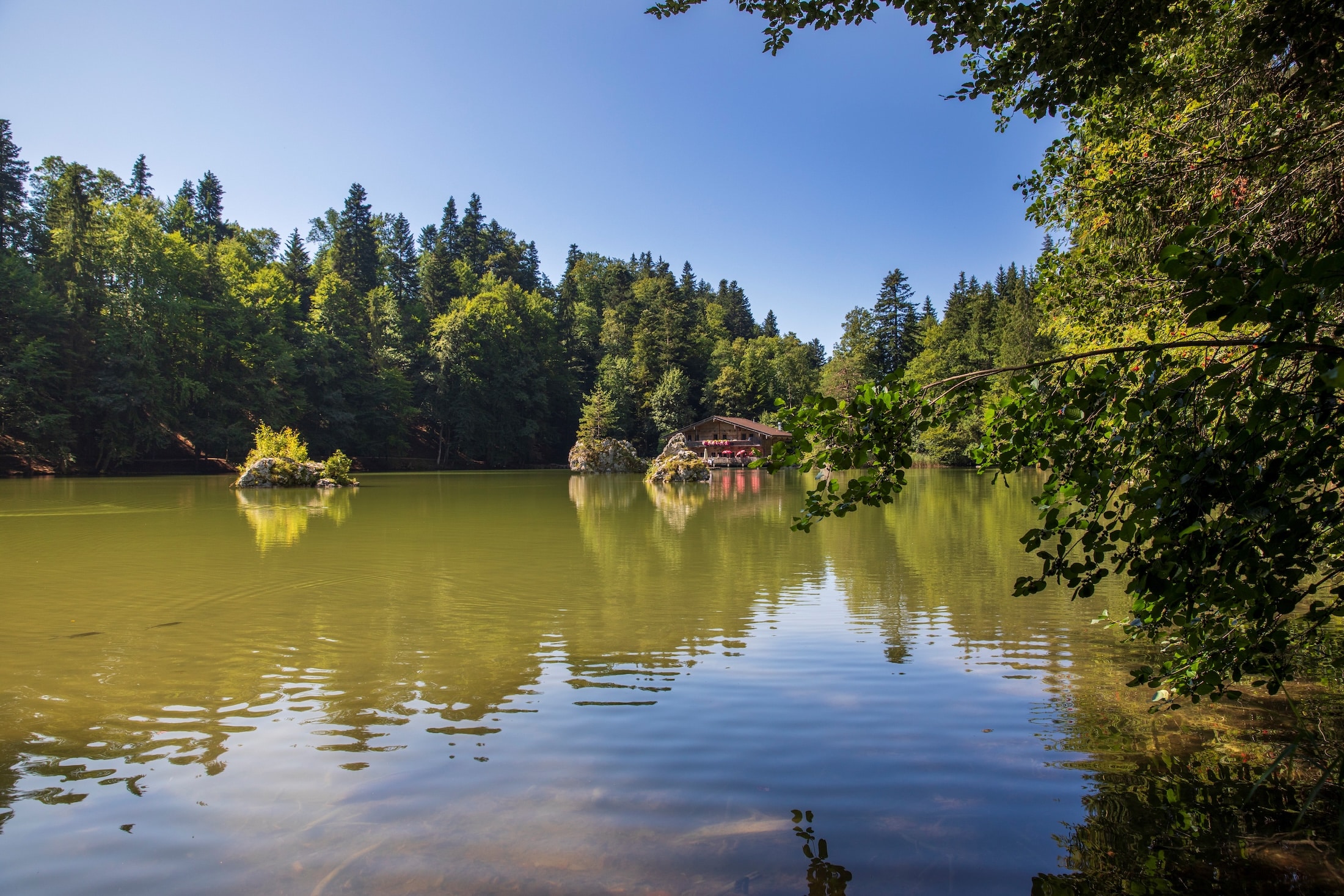 Berglsteinersee in Breitenbach